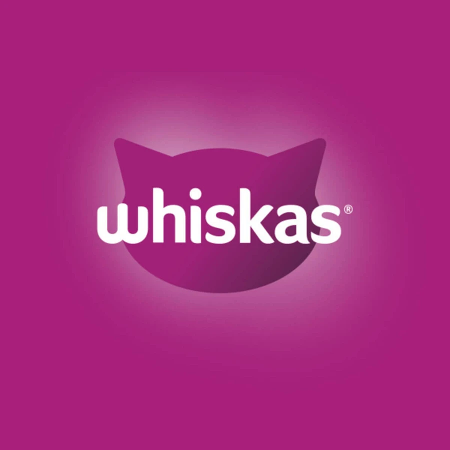 WHISKAS Junior, Huhn, Trockenfutter für junge Katzen, 1,4 kg