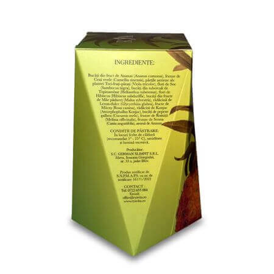 Tee zur Gewichtskontrolle mit Ananas, 2x60 g, Rya Vita