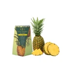 Tee zur Gewichtskontrolle mit Ananas, 2x60 g, Rya Vita