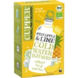 IJsthee met fruit, met ananas- en limoensmaak, 10 theezakjes, Cupper