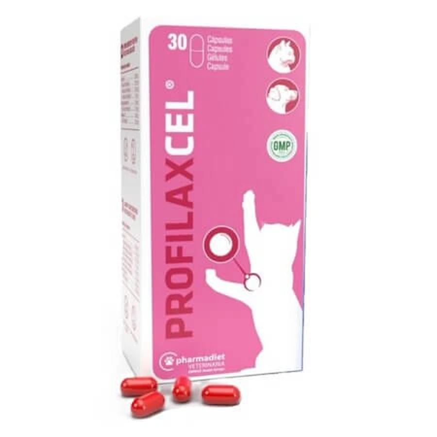 Profilaxcel, complemento alimenticio para perros y gatos, 30 cápsulas, Pharmadiet