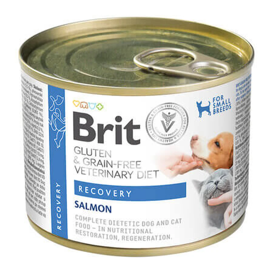 Erholungs-Nassfutter mit Lachs für Hunde und Katzen, 200 g, Brit