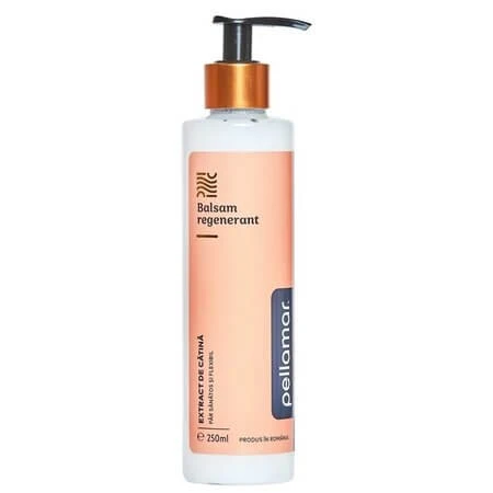 Beauty Hair Deluxe Regenererende Conditioner met duindoorn-extract, 250 ml, Pellamar