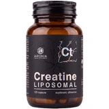 Creatină Lipozomală: 120 capsule, pentru mușchi, forță și progres în sală
