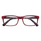 ZIPPO Reading Glasses 31Z-B20-RDE +2.50