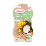 Bio rice dessert with coconut cream and mango, 2 x 100 g, BabyBio