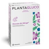 Plantagluco, 60 tabletten, Vitaceutics