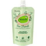 Alverde Naturkosmetik Pro Climate geconcentreerde shampoo, 100 ml
