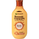 Botanic Therapy Shampoo met honing en propolis, 400 ml