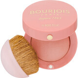 Buorjois Paris Blush 15 Rose Eclat, 2,5 g