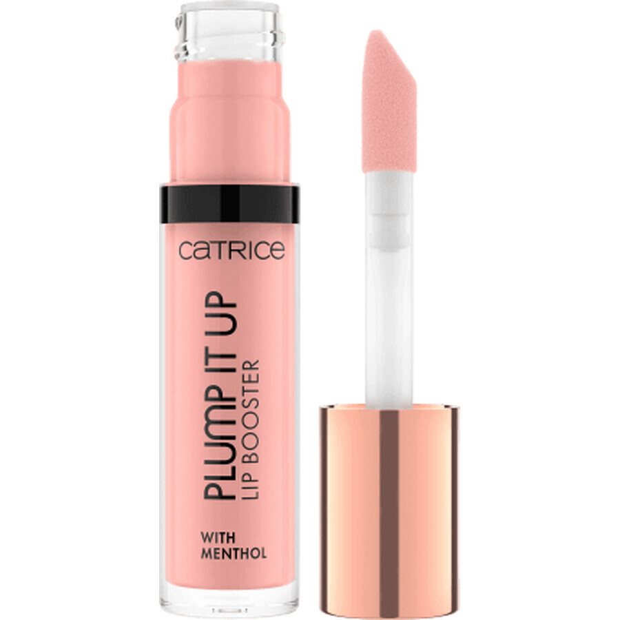 Catrice Plump It Up Booster lip gloss 060, 3.5 ml