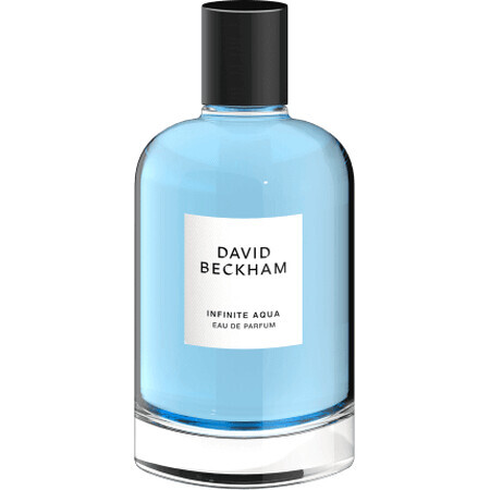 David Bechham parfum voor mannen Infinite Aqua, 100 ml