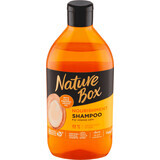 Nature Box Shampooing à l'huile d'argan, 385 ml