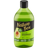 Nature Box Shampooing à l'huile d'avocat, 385 ml