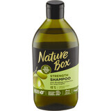 Nature Box Shampooing à l'huile d'olive, 385 ml