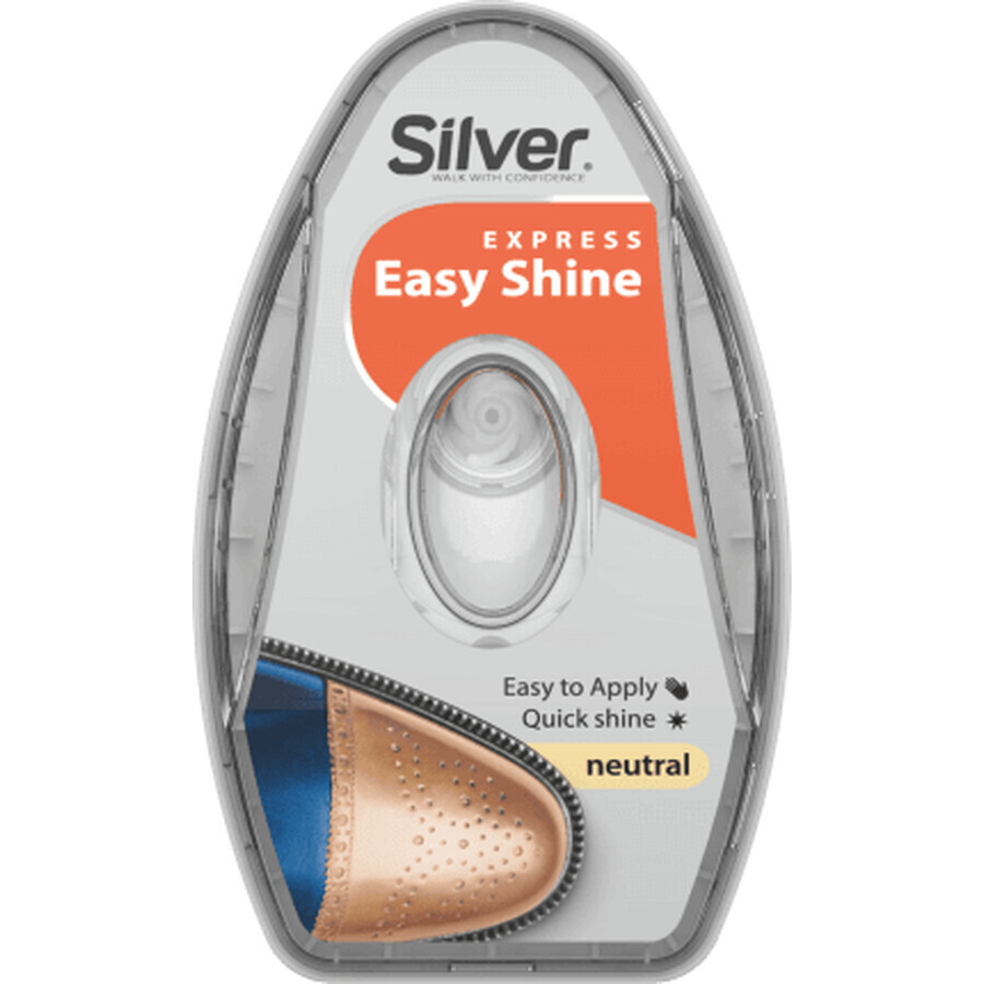 Zilveren spons met kleurloze siliconenreserve, 1 st
