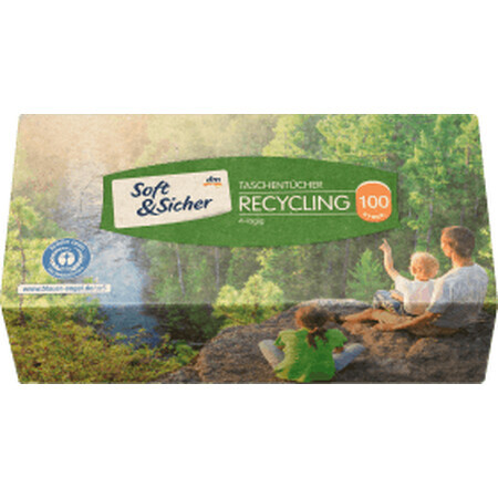 Salviette riciclate Soft&Sicher, 100 pz