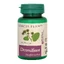 Detoxifiant, 60 tabletten, Dacia Plant