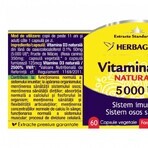 Detrix Forte Vitamine D3 5000 IU, 120 gélules, Herbagetica